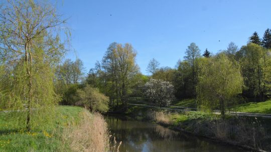 Druga część koszenia dna Łyny