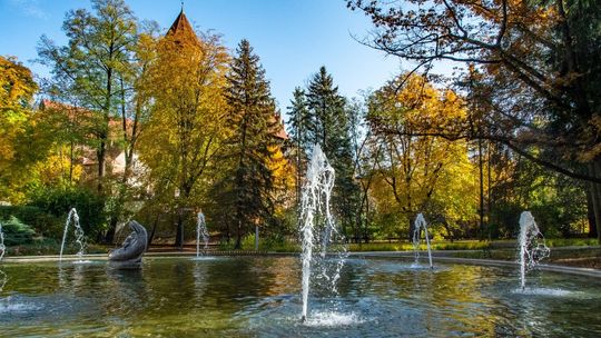 Fotnanny wracają po koronawirusie