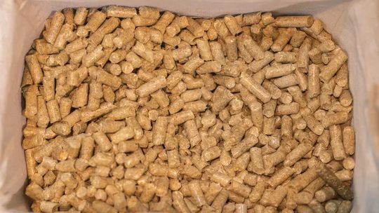 Gdzie w Olsztynie i okolicach kupić pellet z głową? Przewodnik dla ogrzewających domy