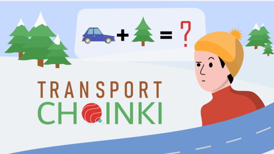 Jak bezpiecznie przewieźć choinkę? Jak bezpiecznie przewieźć choinkę?