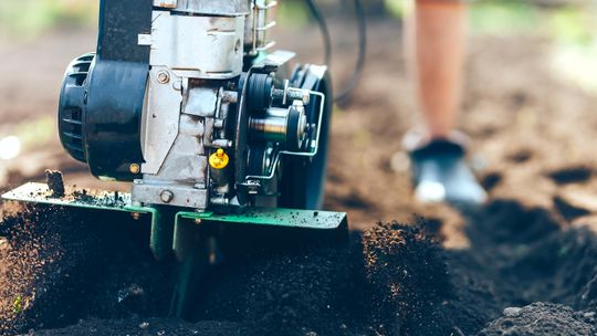 Jak dbać o ogród – praktyczne porady i sprzęt, który ułatwia pracę