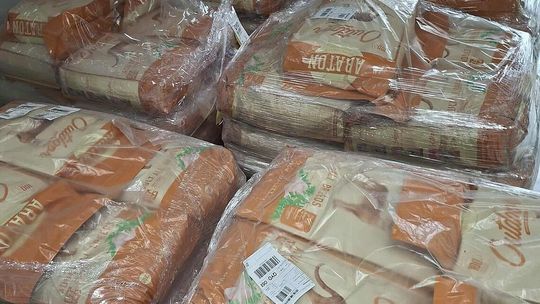 Karma dla kotów wolno żyjących dostępna w schronisku od 7 listopada Karma dla kotów wolno żyjących dostępna w schronisku od 7 listopada