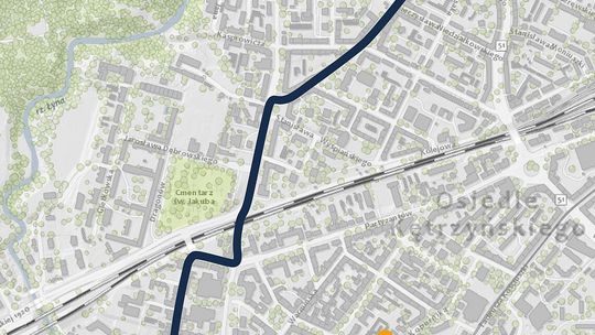 Kolorowy orszak przejdzie ulicami miasta