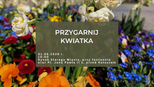 Kwiaty z miejskich donic czekają na nowych właścicieli