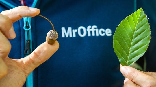 MrOffice profesjonalna firma sprzątająca we Wrocławiu