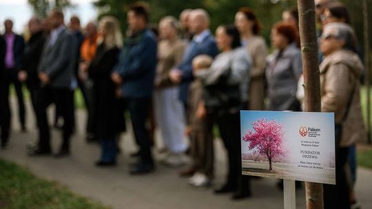 Skwer Nadziei powstał w Parku Centralnym