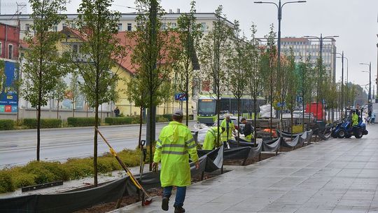 Śródmieście się zieleni