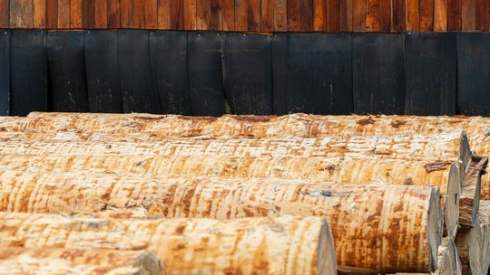 Suszarnia do drewna ? jak działa i dlaczego jest niezbędna?