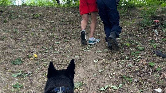 Ukrył się przed wzrokiem policjantów, ale nie przed nosem psa służbowego