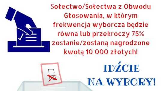 W Dywitach sołectwa mogą zarobić na wyborach 