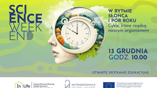 W rytmie słońca i pór roku