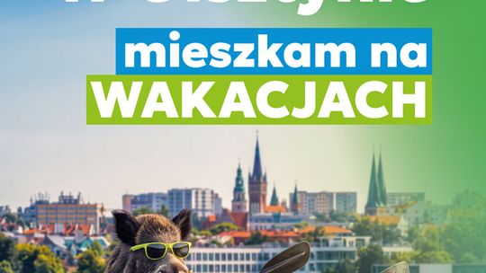 "Warto mieszkać w Olsztynie" – kolejna odsłona kampanii