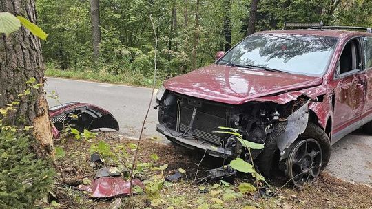 Weekend na drogach powiatu zakończył się w poniedziałek rano – 2,5 promila miał kierowca, który uderzył w drzewo w gminie Dywity