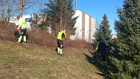Wiosenne porządki na ulicach Olsztyna