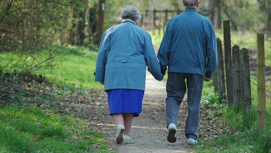 Wsparcie dla seniorów. Olsztyn przygotowuje się do nowych zadań