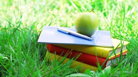 Zielona szkoła jesienią czy wiosną – kiedy lepiej jechać?