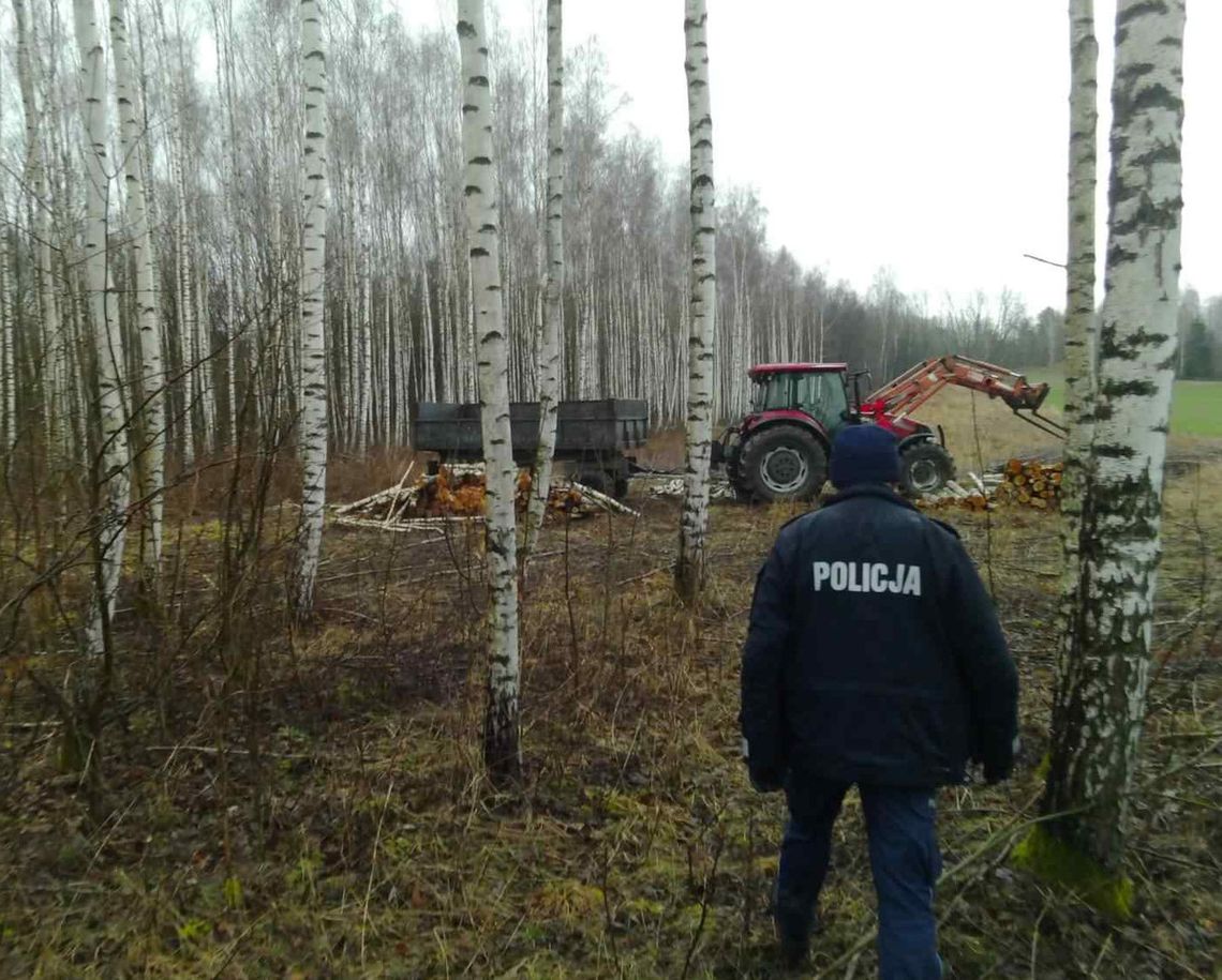 Dzielnicowi ustalili i zatrzymali sprawców usiłowania kradzieży drewna