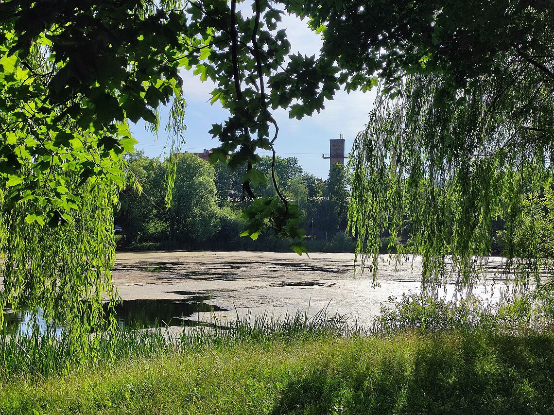 Jezioro Długie ponownie oczyszczane