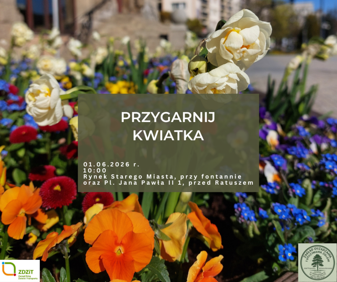 Kwiaty z miejskich donic czekają na nowych właścicieli Kwiaty z miejskich donic czekają na nowych właścicieli