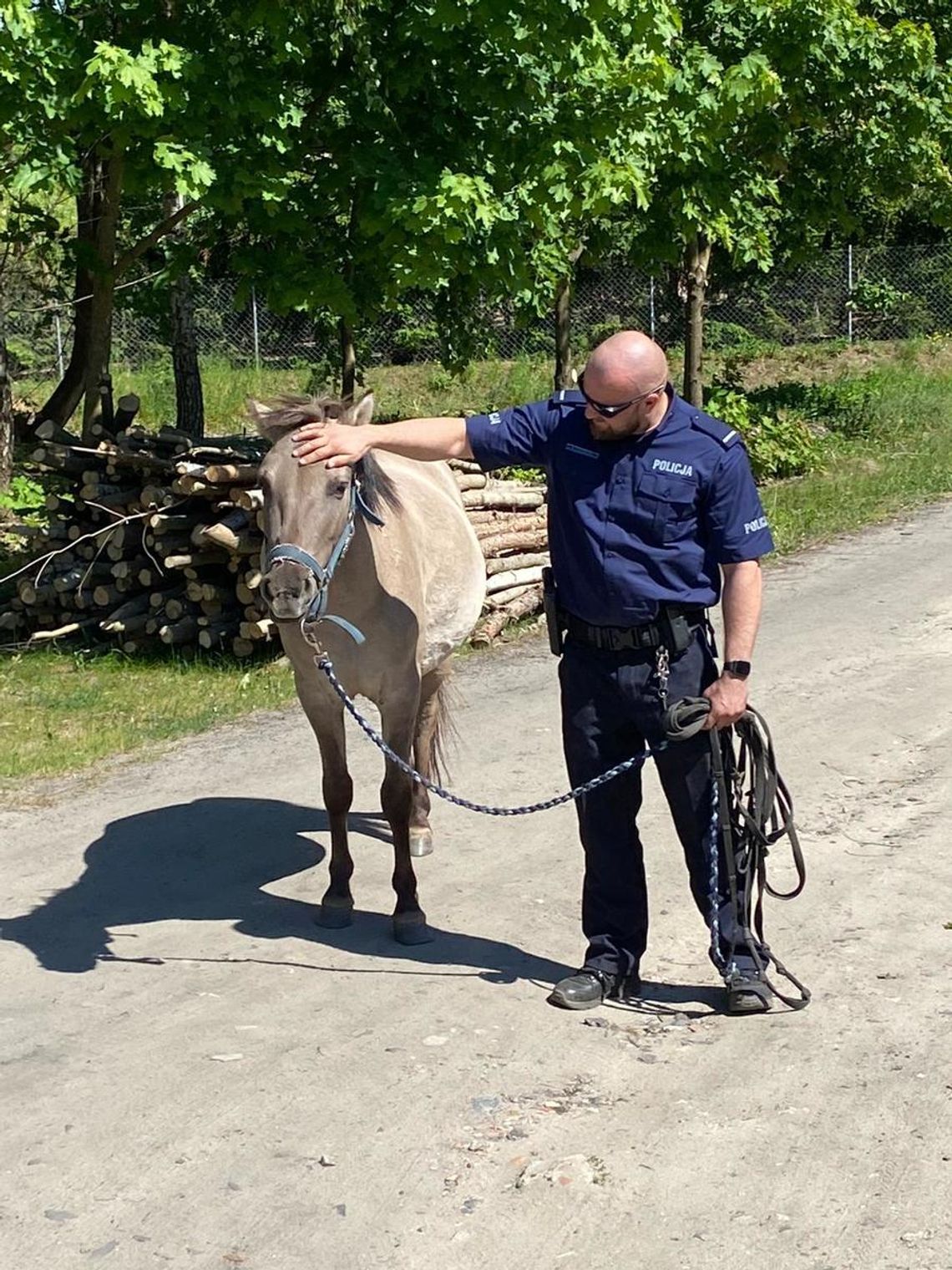 Nietypowa interwencja policjantów. Złapali... konia