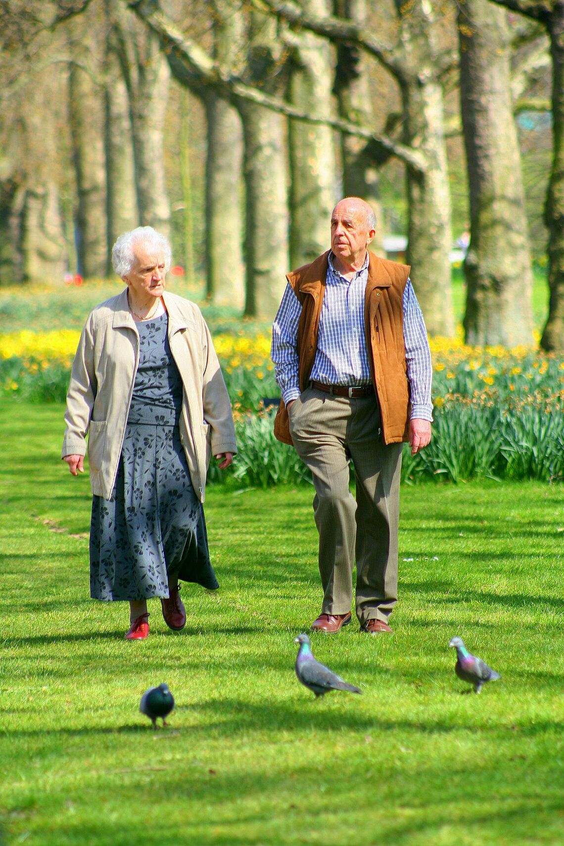 Olsztyn stawia na aktywnych seniorów