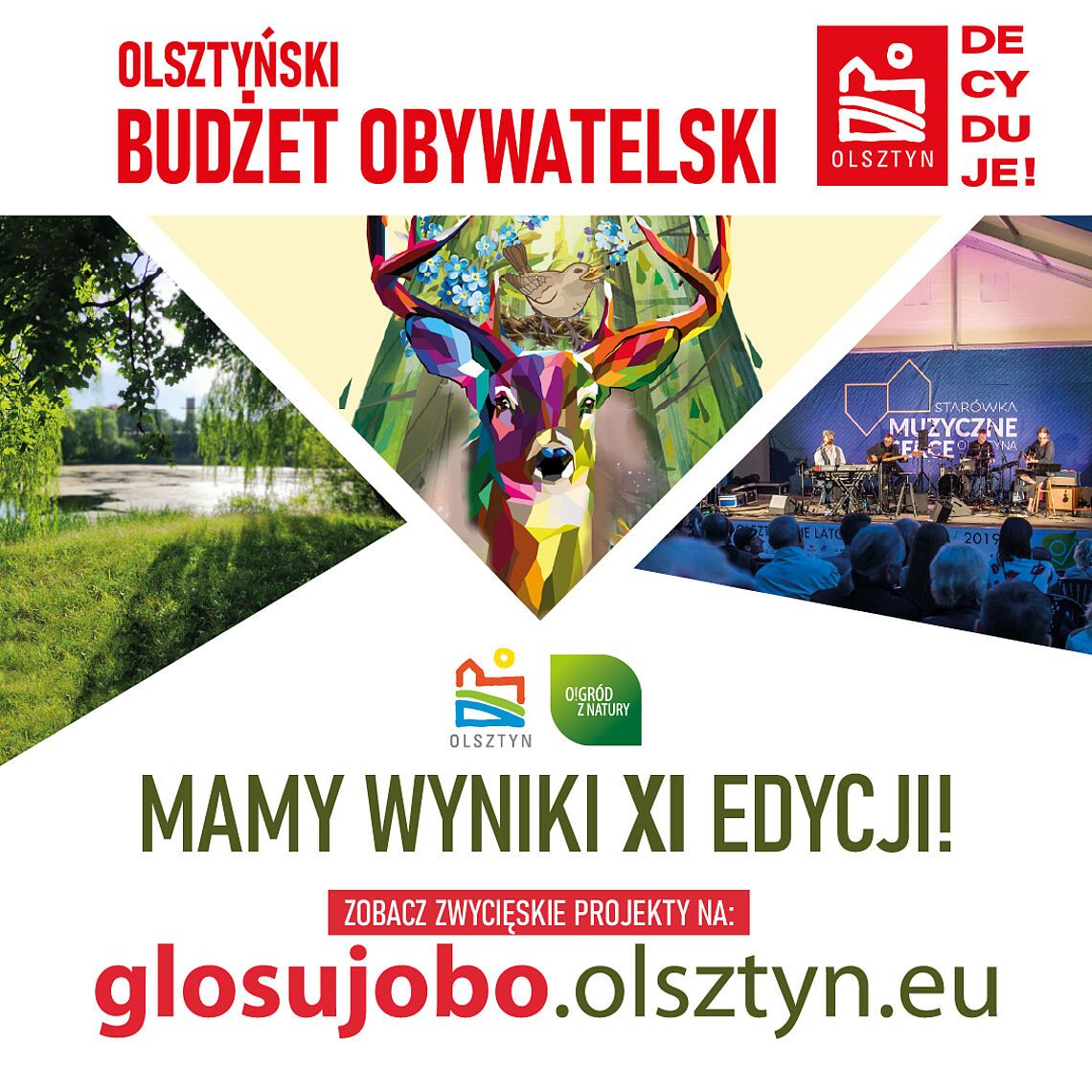 Oto zwycięzcy OBO