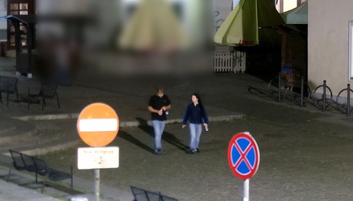 Pomóżmy odnaleźć skradzioną figurkę