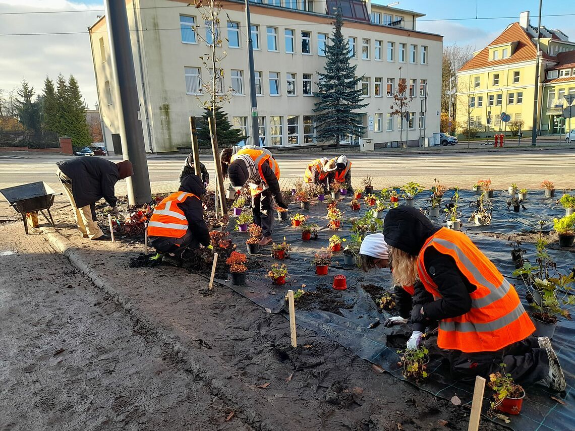 Powstaje kolejna zielona przestrzeń