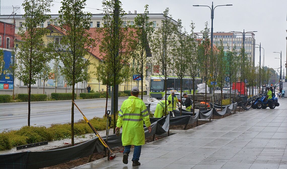 Śródmieście się zieleni