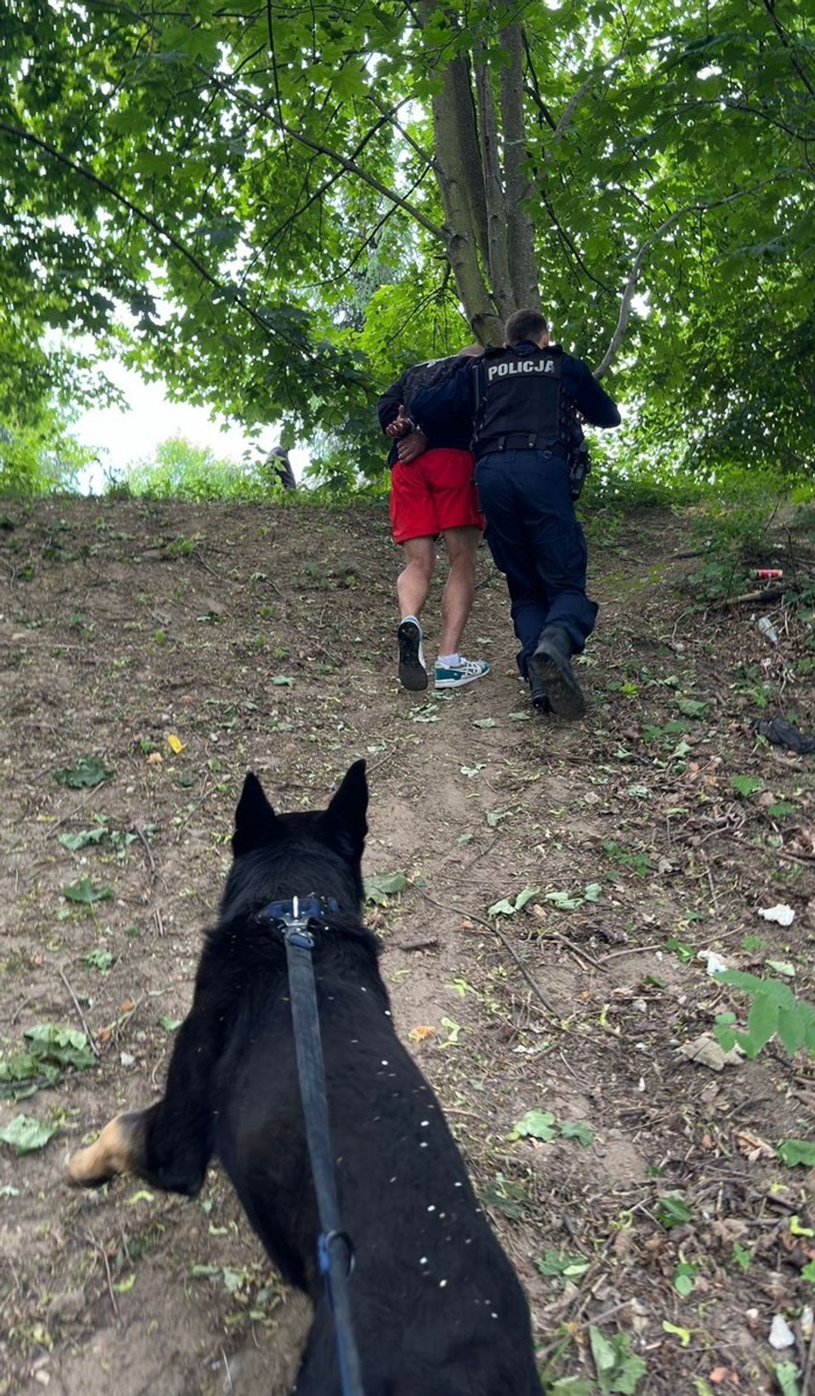 Ukrył się przed wzrokiem policjantów, ale nie przed nosem psa służbowego