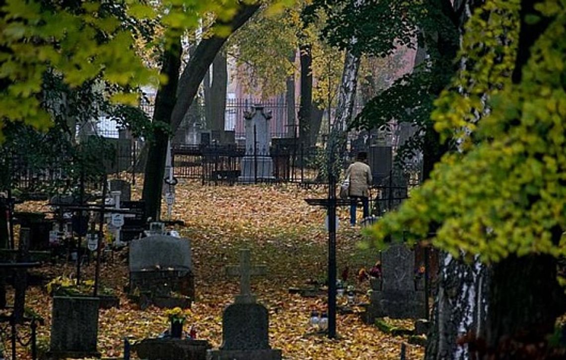 Wyniki kwesty na cmentarzach